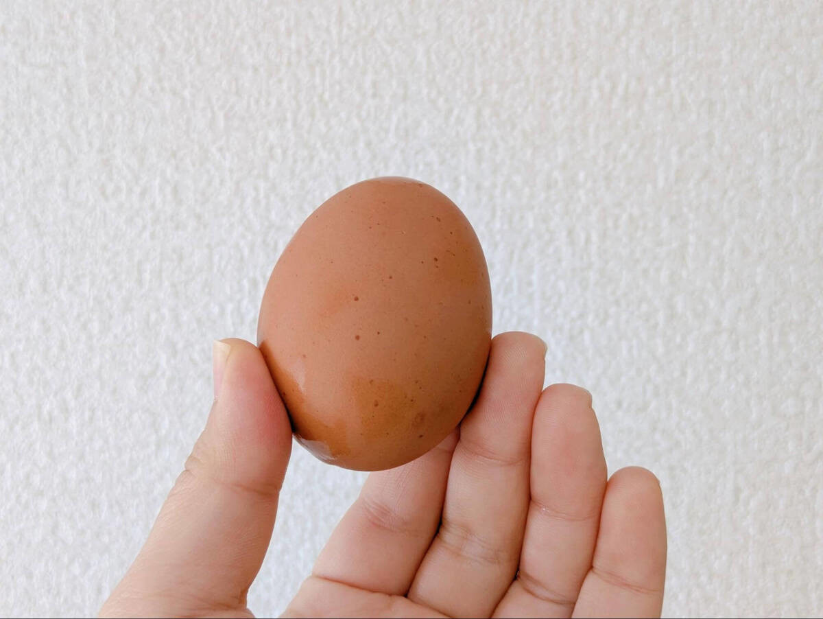 ゆで卵