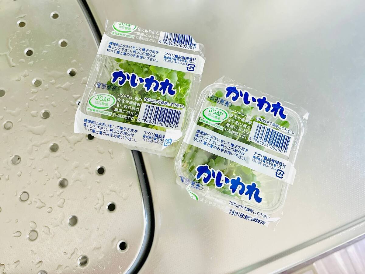 カイワレ大根