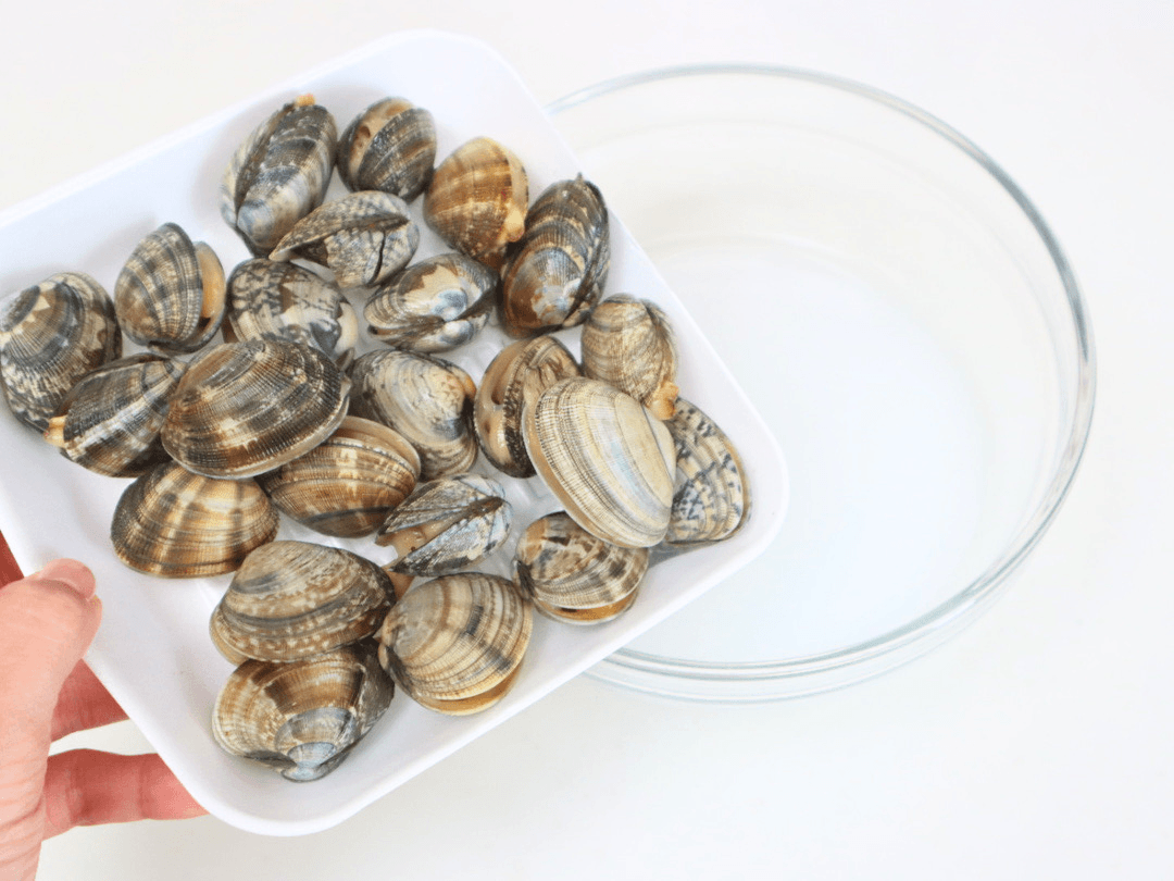「アサリの砂抜き」方法