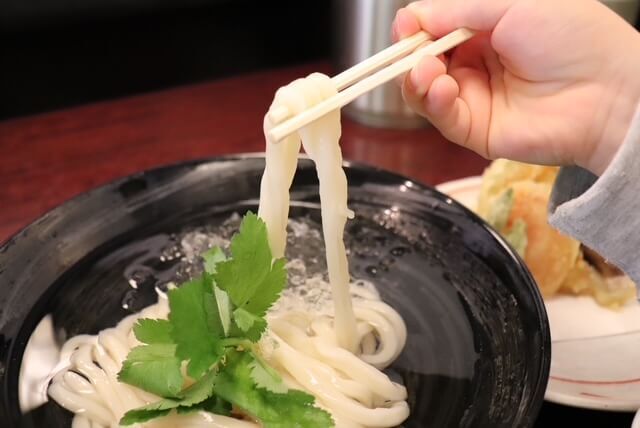 香川県「うどん本陣 山田屋」