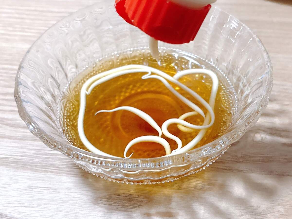 瀬戸朝香さん「そうめん×めんつゆ×マヨネーズ」