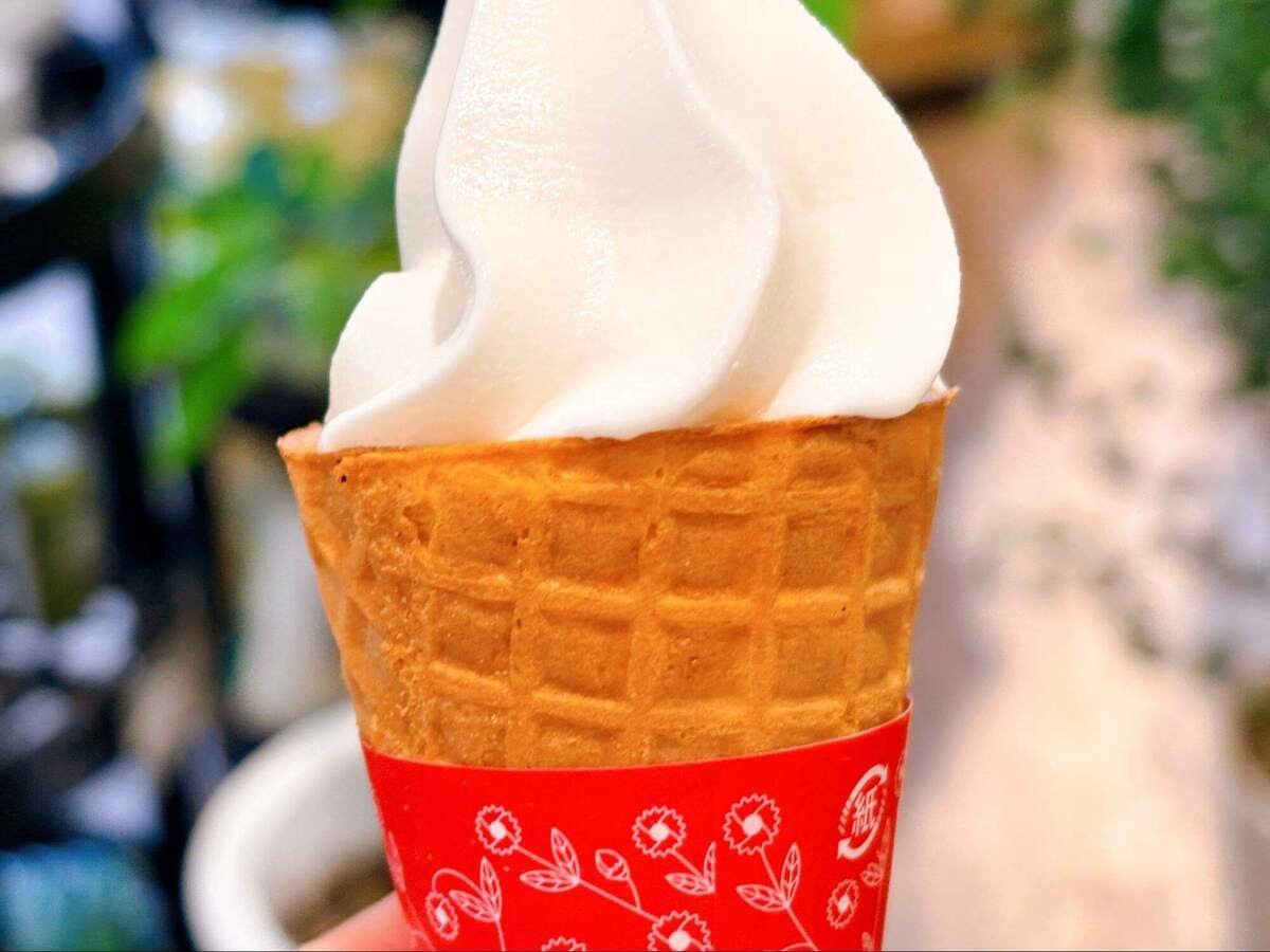 癒し空間が広がるカインズのカフェ