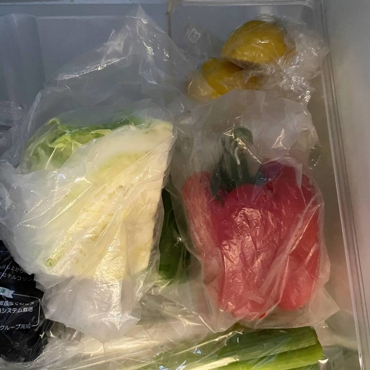 無印良品の「野菜や果物の鮮度を保つポリエチレン袋」