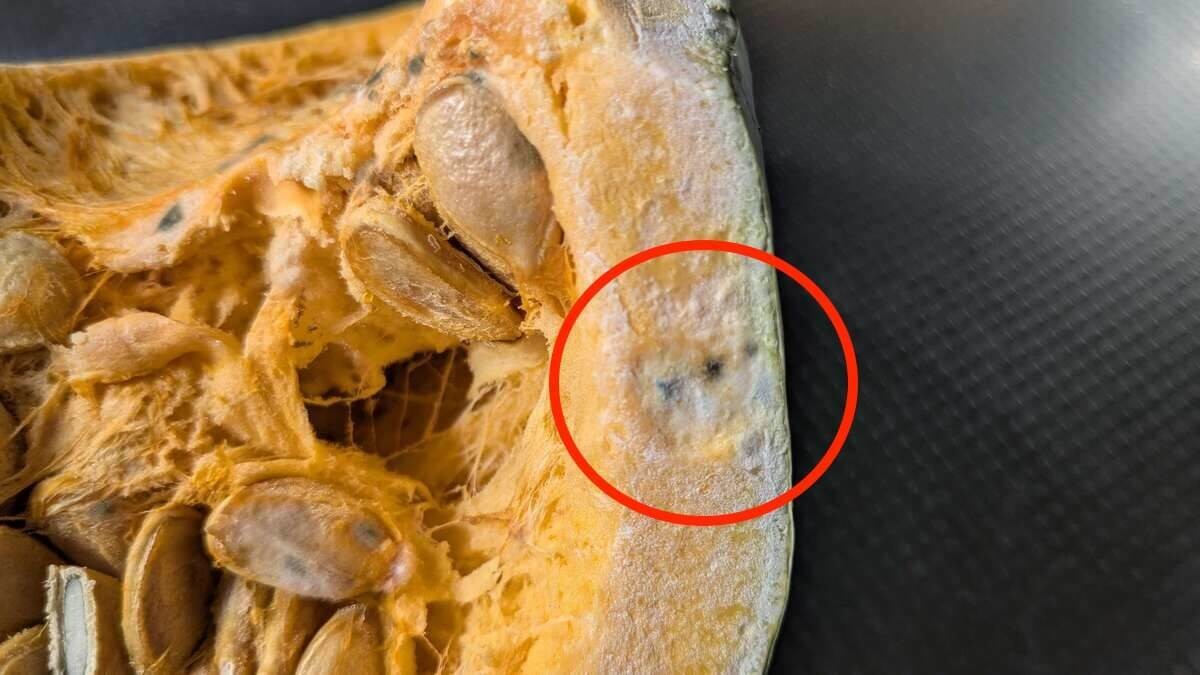 かぼちゃを選ぶときのポイント