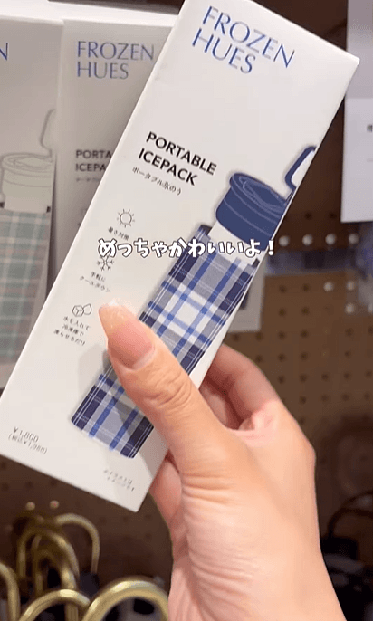 【3COINS】ポータブル氷のう