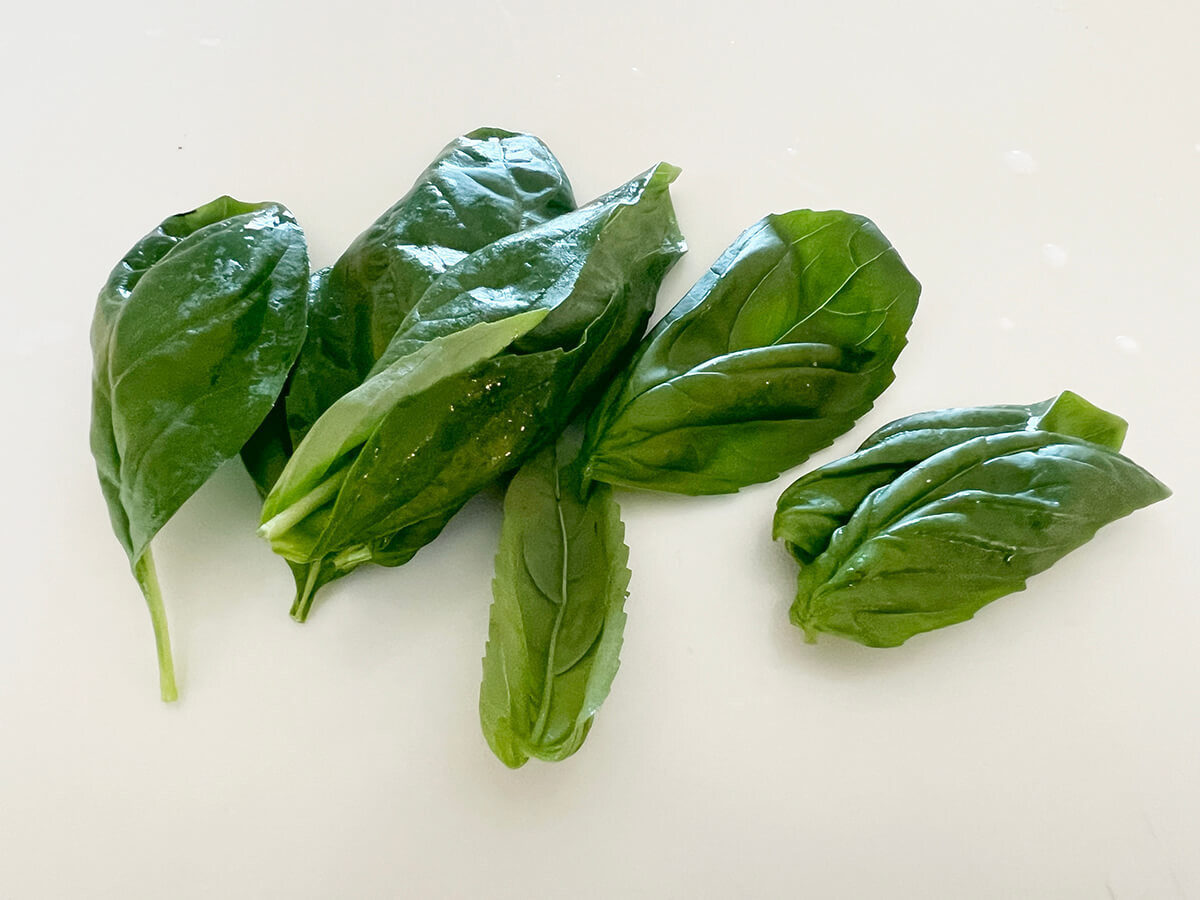 本場トマトパスタ