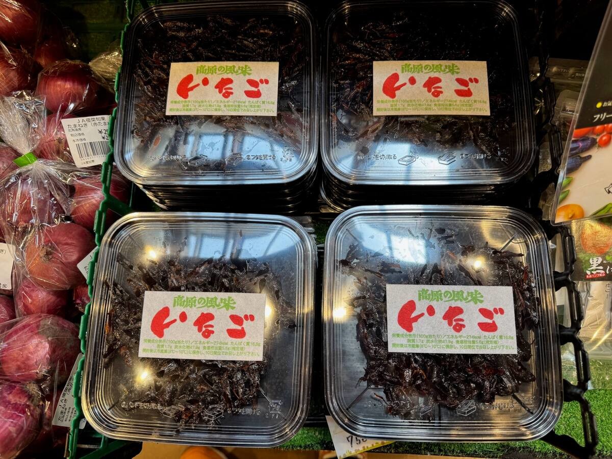 愛知県新城市「もっくる新城」