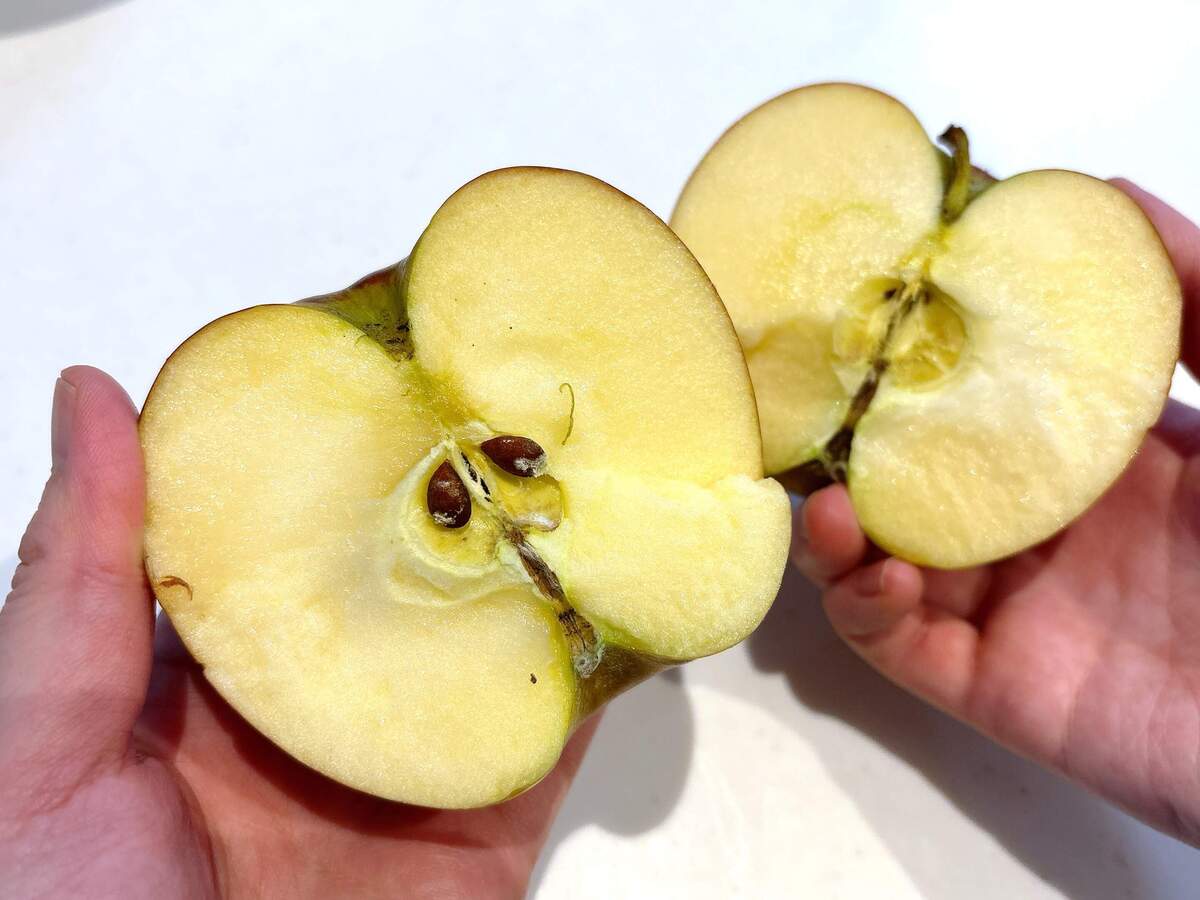 りんご……手で割るの!?