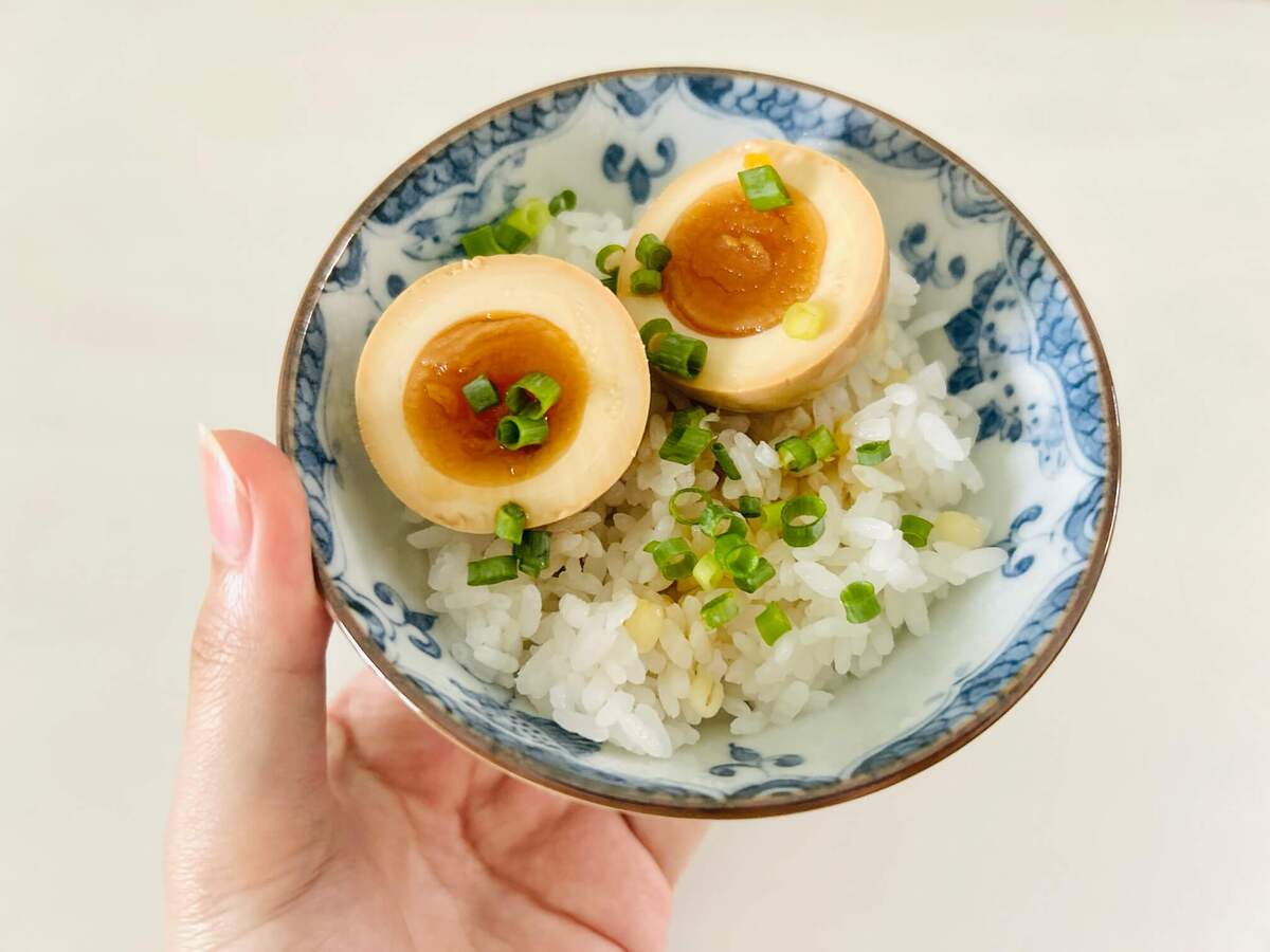 【コスモス】「