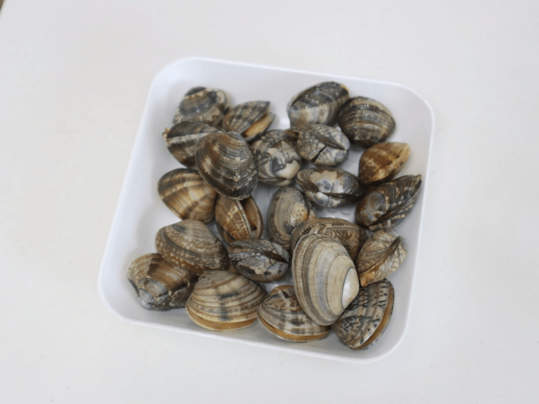 「アサリの砂抜き」方法