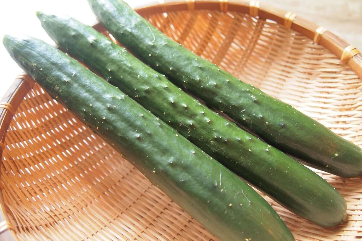 きゅうりの栄養的特徴