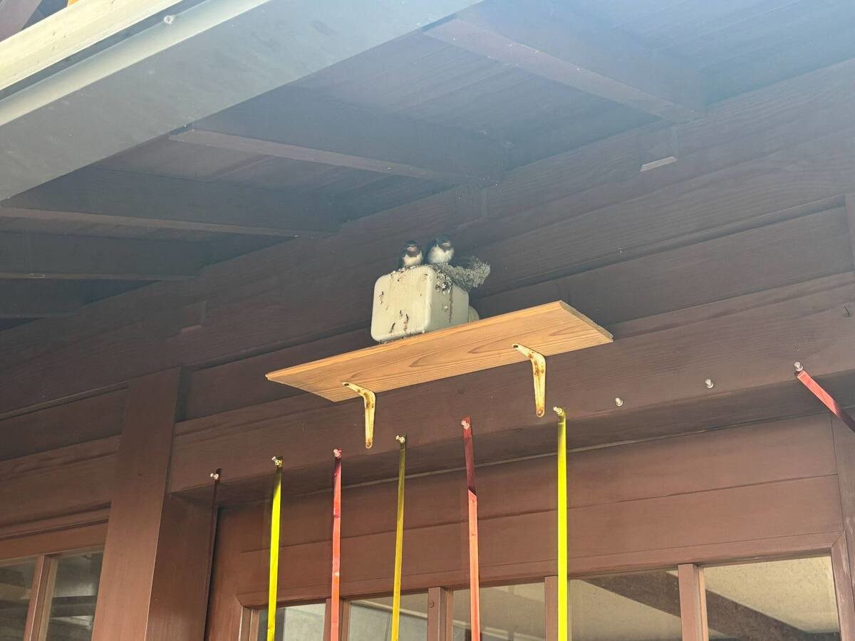 「道の駅大山恵みの里」