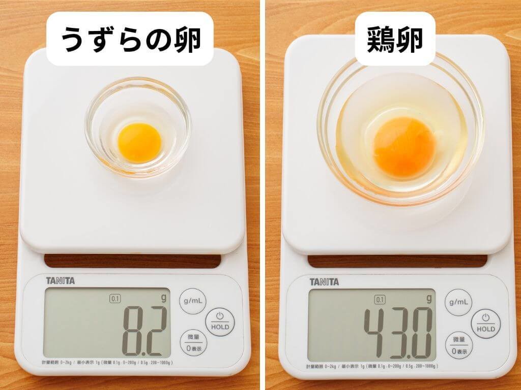 うずらの卵