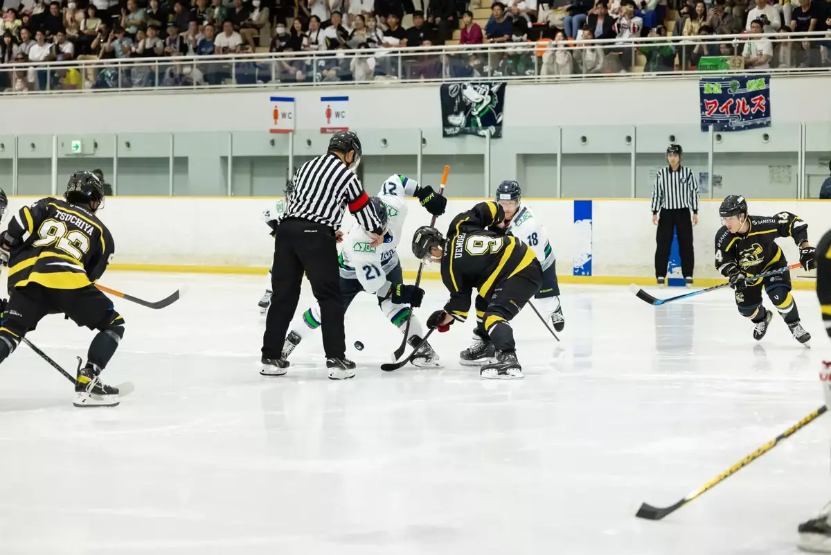 審判ユニフォームに背番号がないスポーツは？