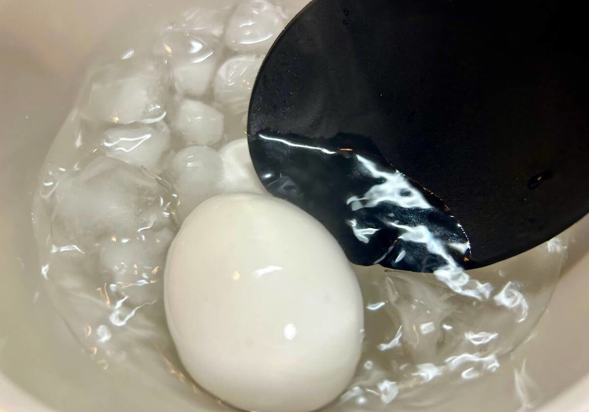和田明日香さん「究極の半熟卵」のレシピ