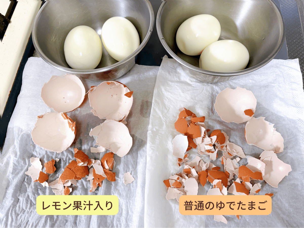 ゆでたまご