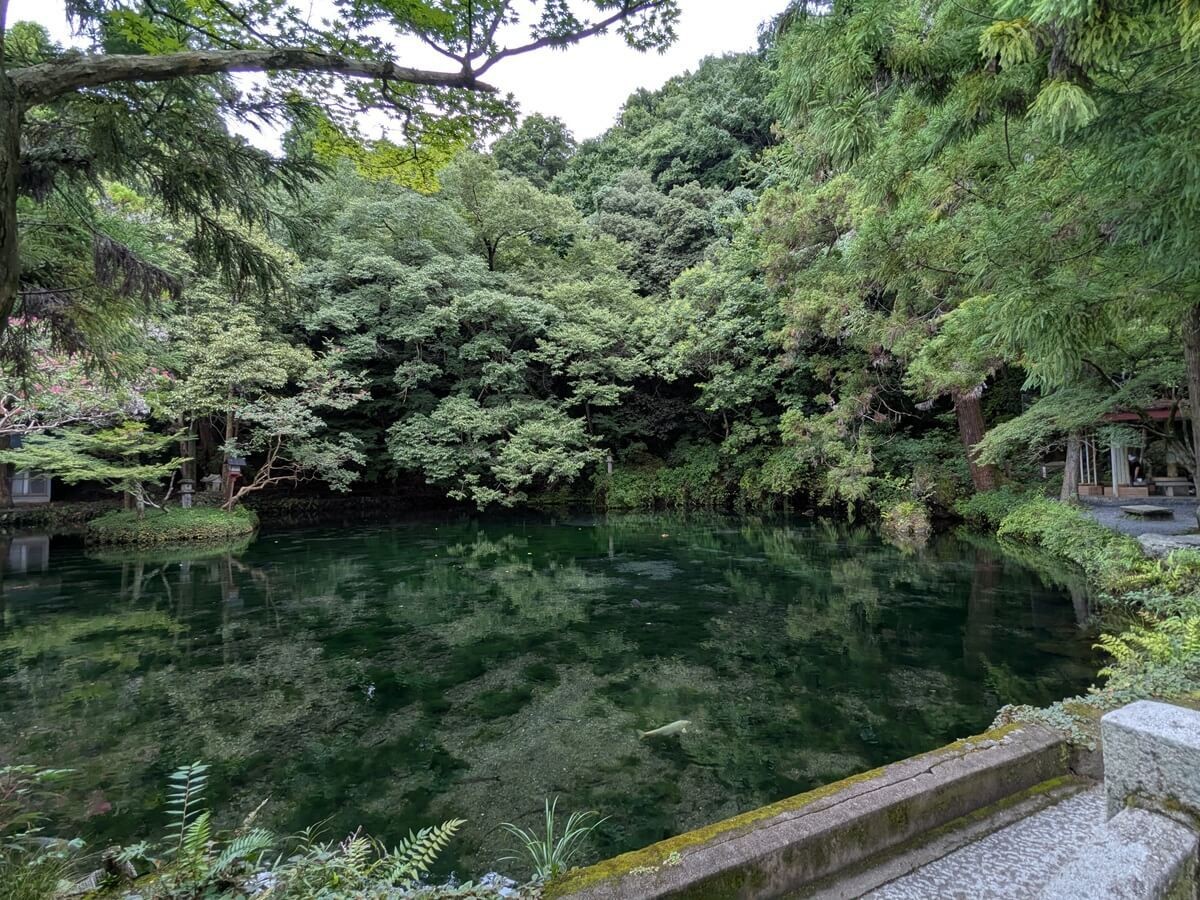 カフェジェラオカ