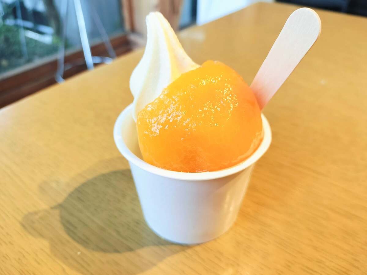 道の駅とみうら枇杷倶楽部