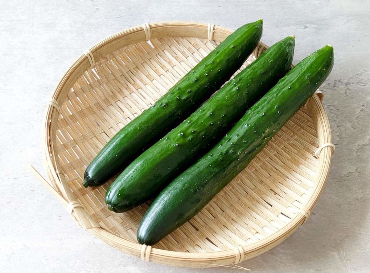 冷やしきゅうり