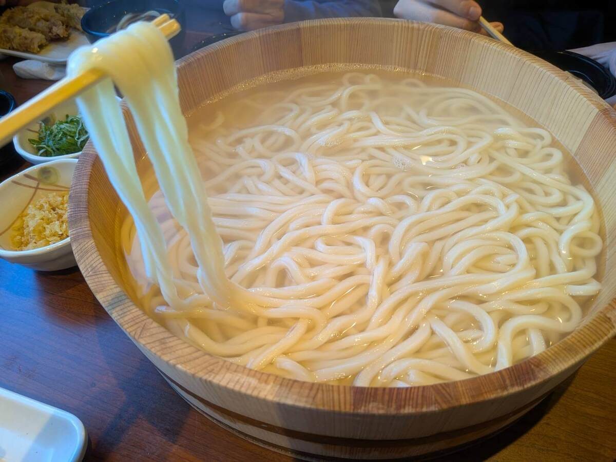 家族釜揚げうどん