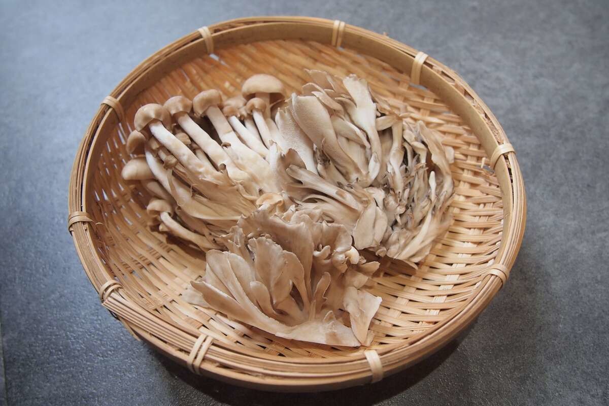 意外と知らない