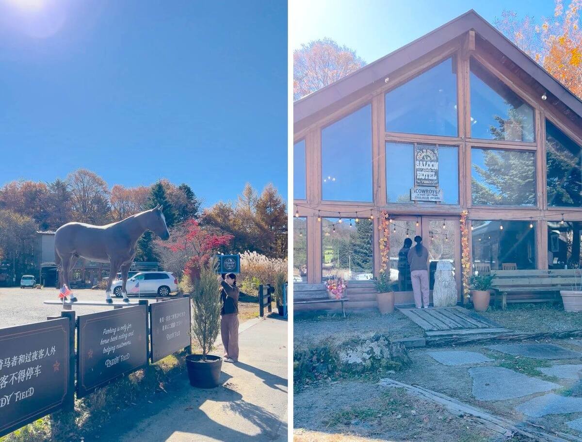 山梨パディーフィールド