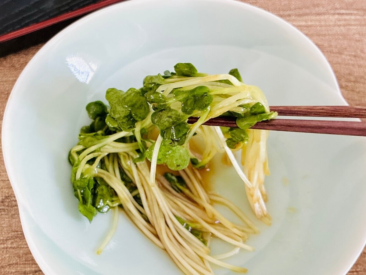 カイワレ大根