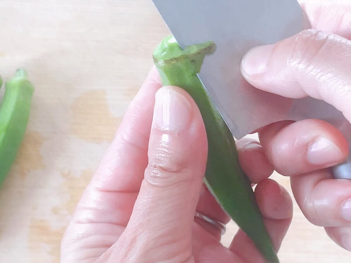 豚肉のヨーグルト煮込み