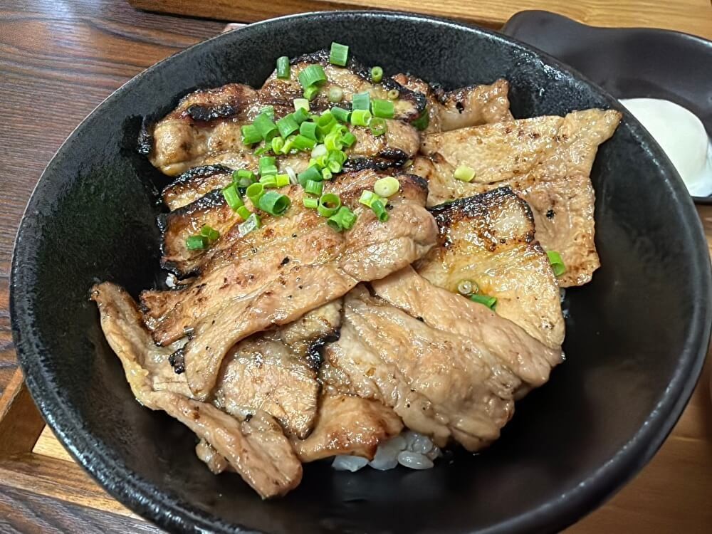 「道の駅 清川」【豚丼がおいしい】