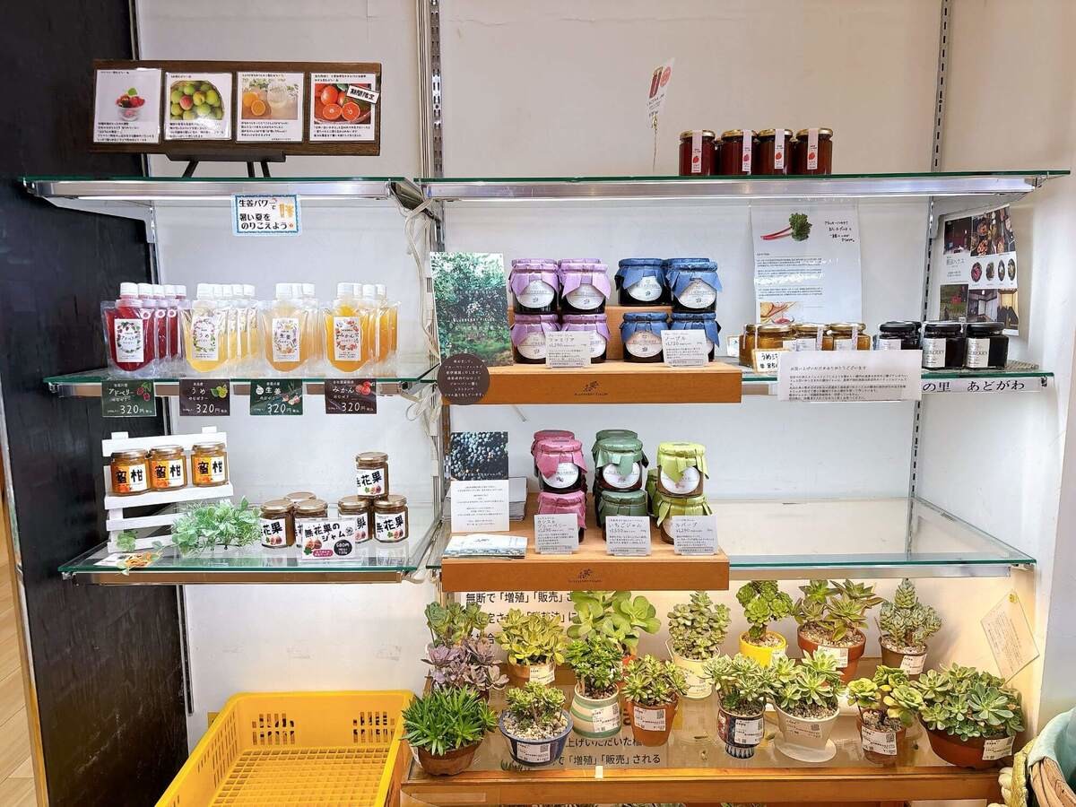 琵琶湖の恵みを感じる、開放的な道の駅「藤樹の里あどがわ」