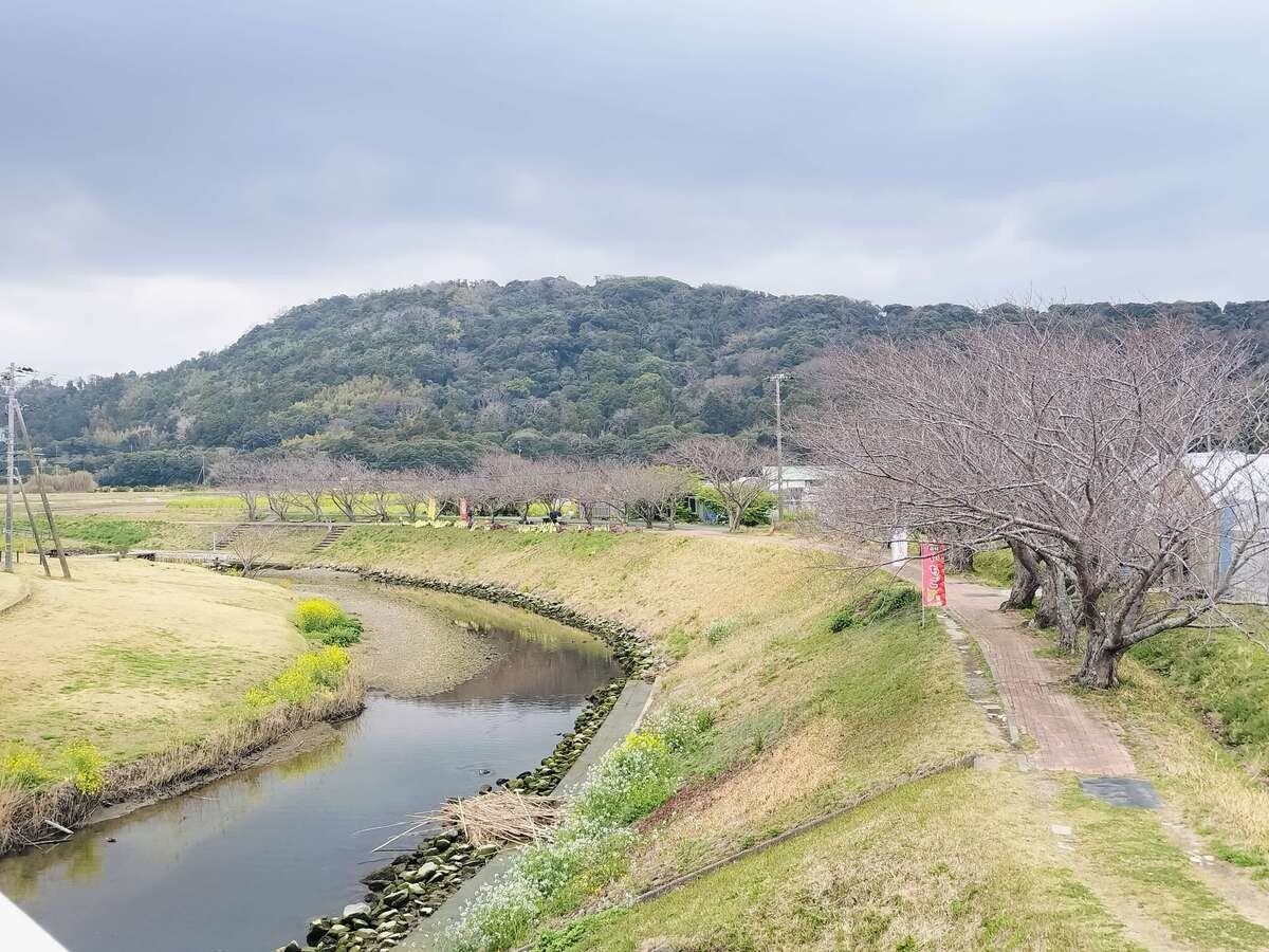 道の駅とみうら枇杷倶楽部