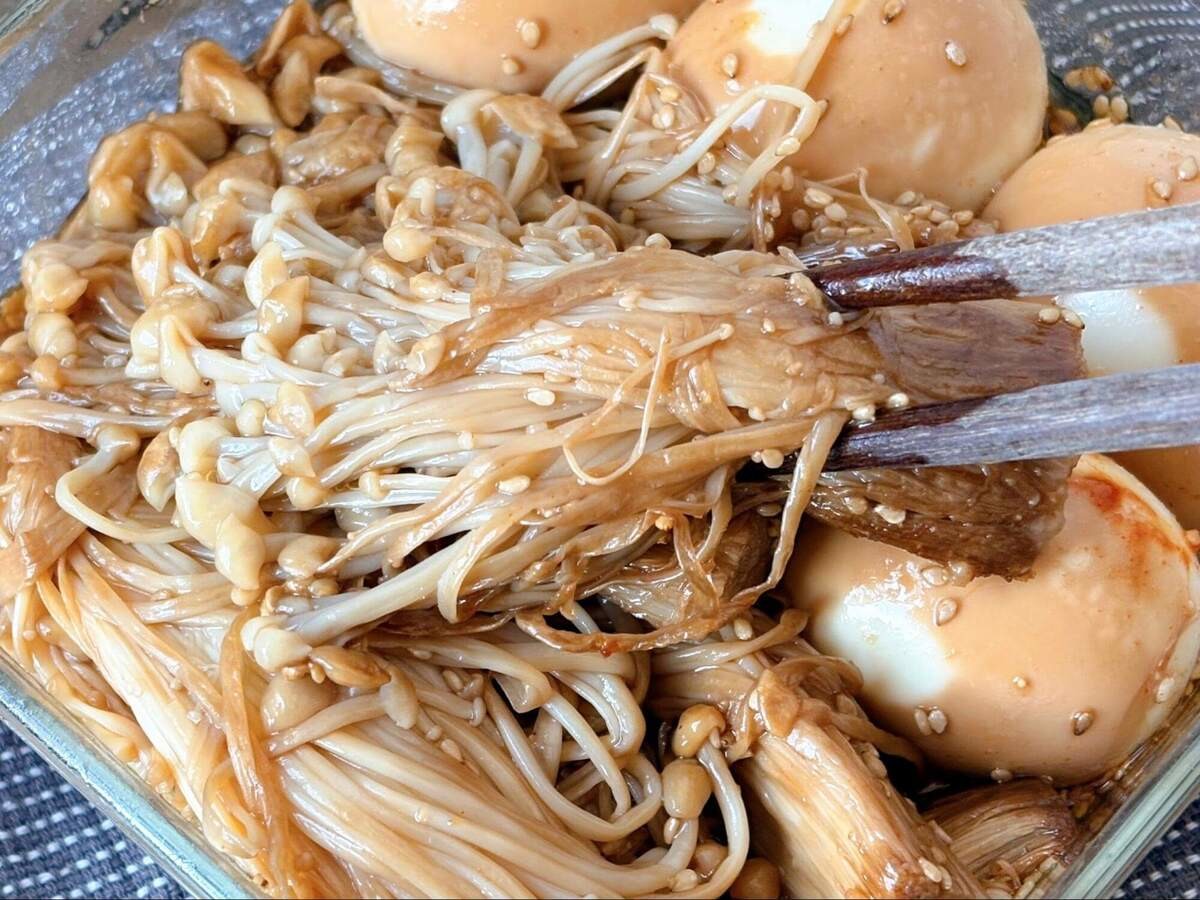 麻薬たまえのき