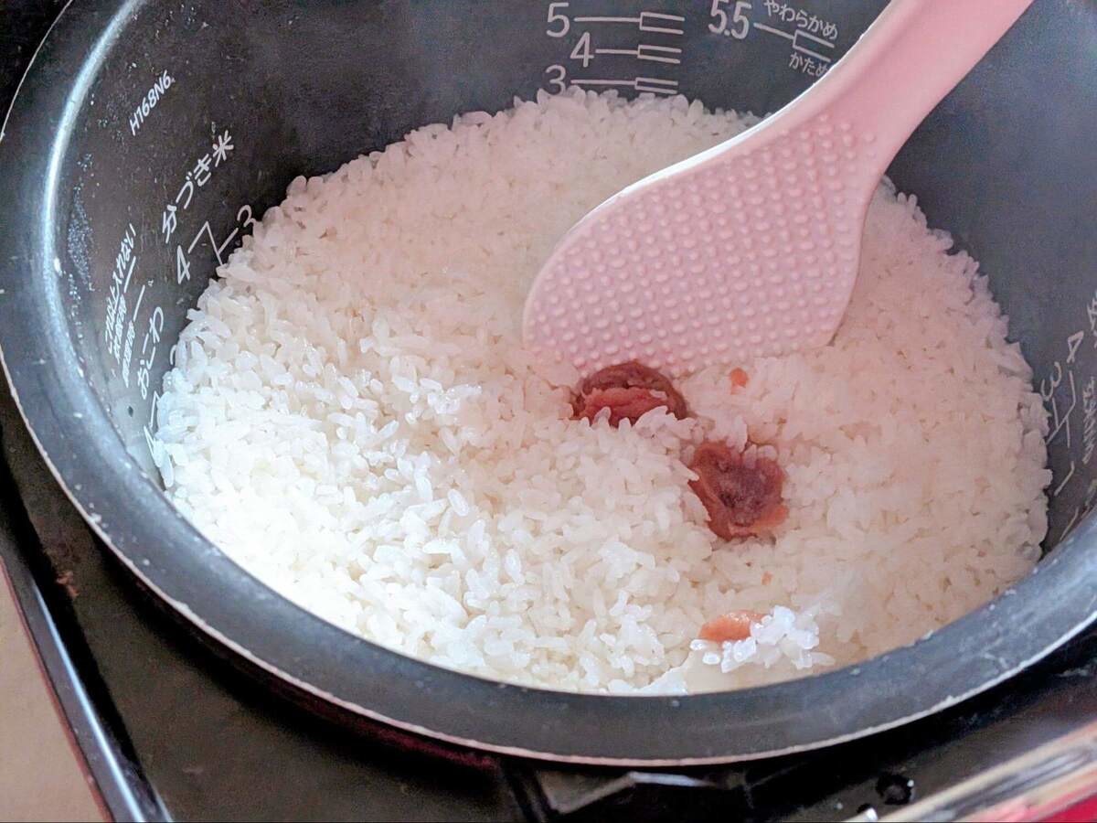 梅干しのさっぱりだしごはん
