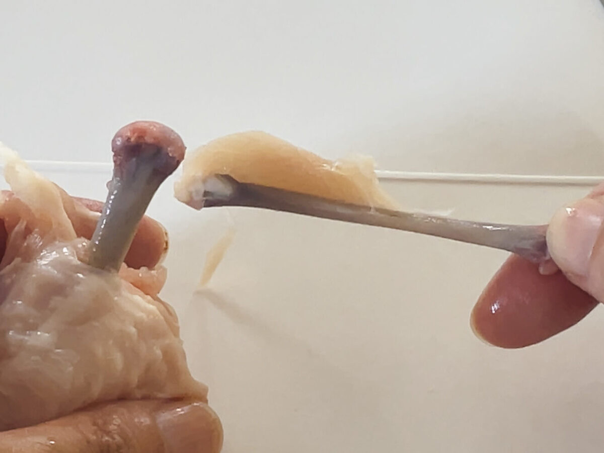 アゲ☆揚げチキン