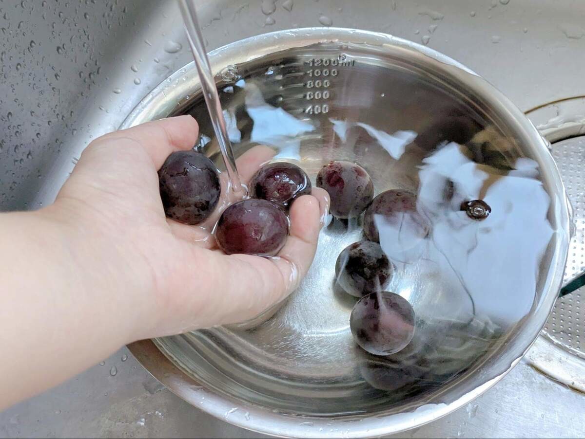 食中毒　ぶどう