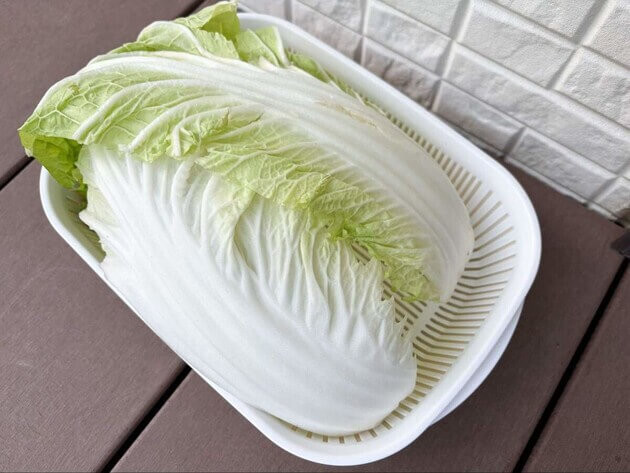 はくさい。購入しないでください。 こんな白菜、絶対に食べちゃダメーー！】