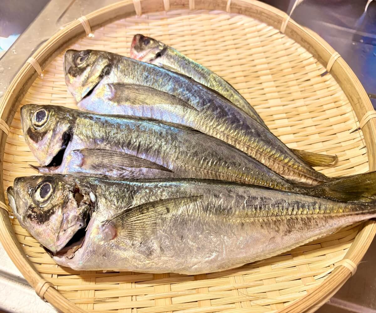 アジ