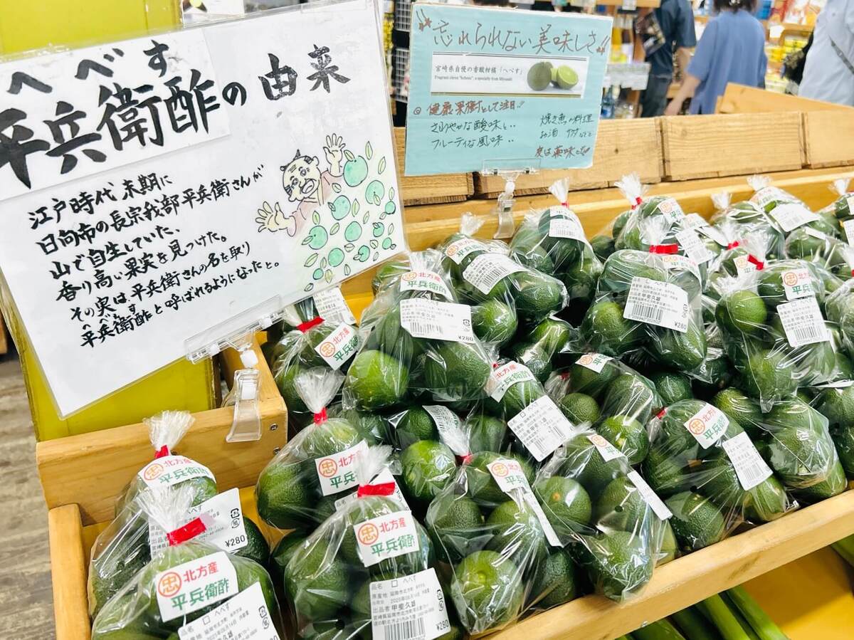 道の駅『北方よっちみろ屋』