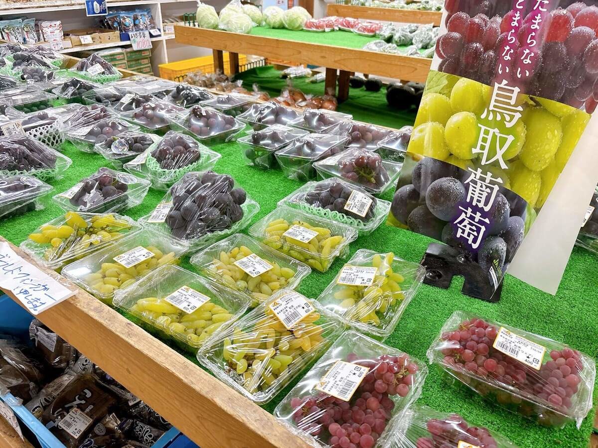 「道の駅大栄」