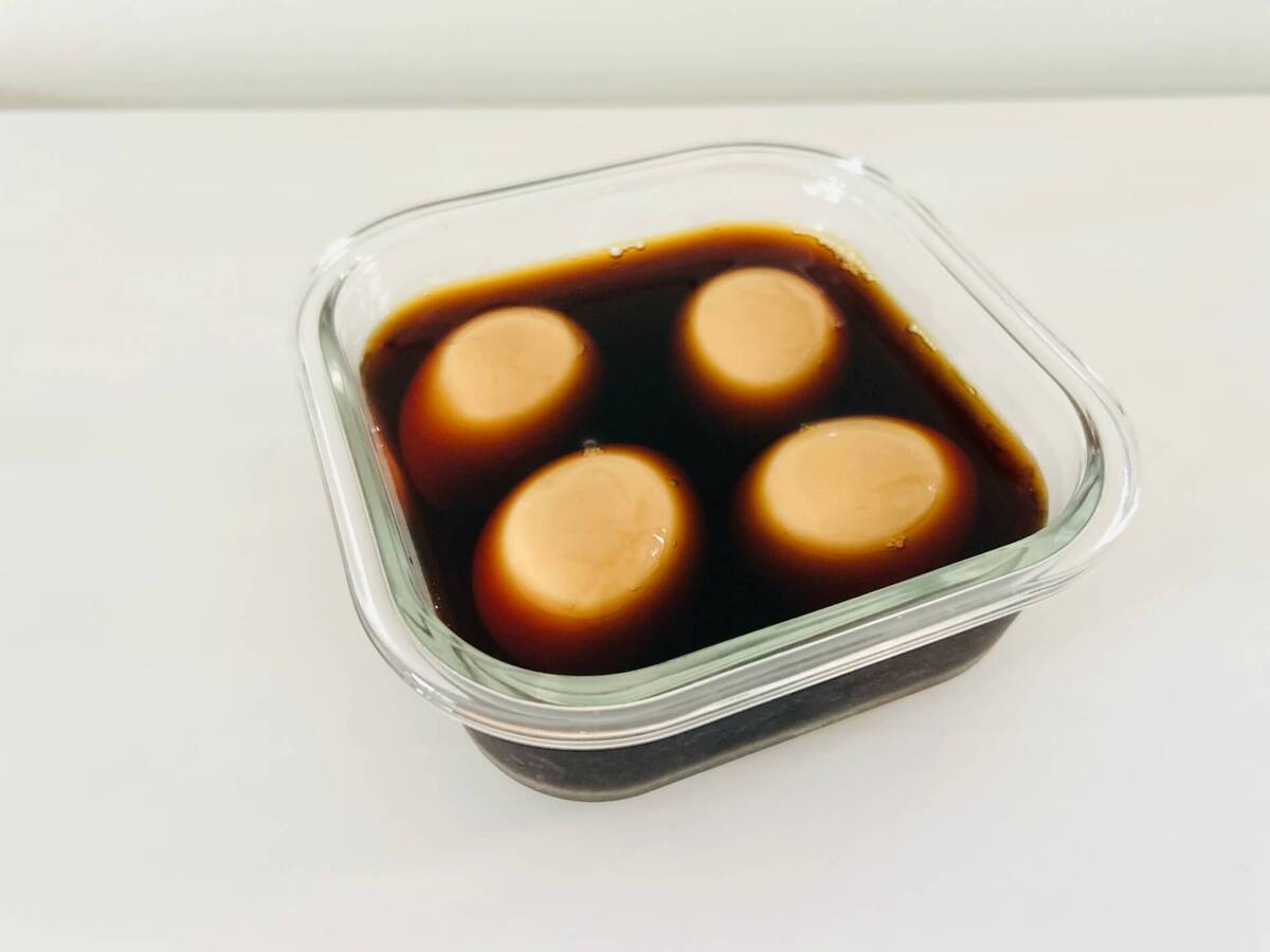 【コスモス】「