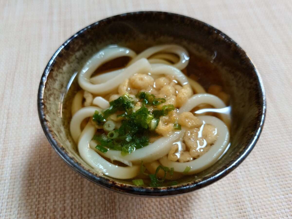 サタプラのひたすら試してランキングのうどん2選