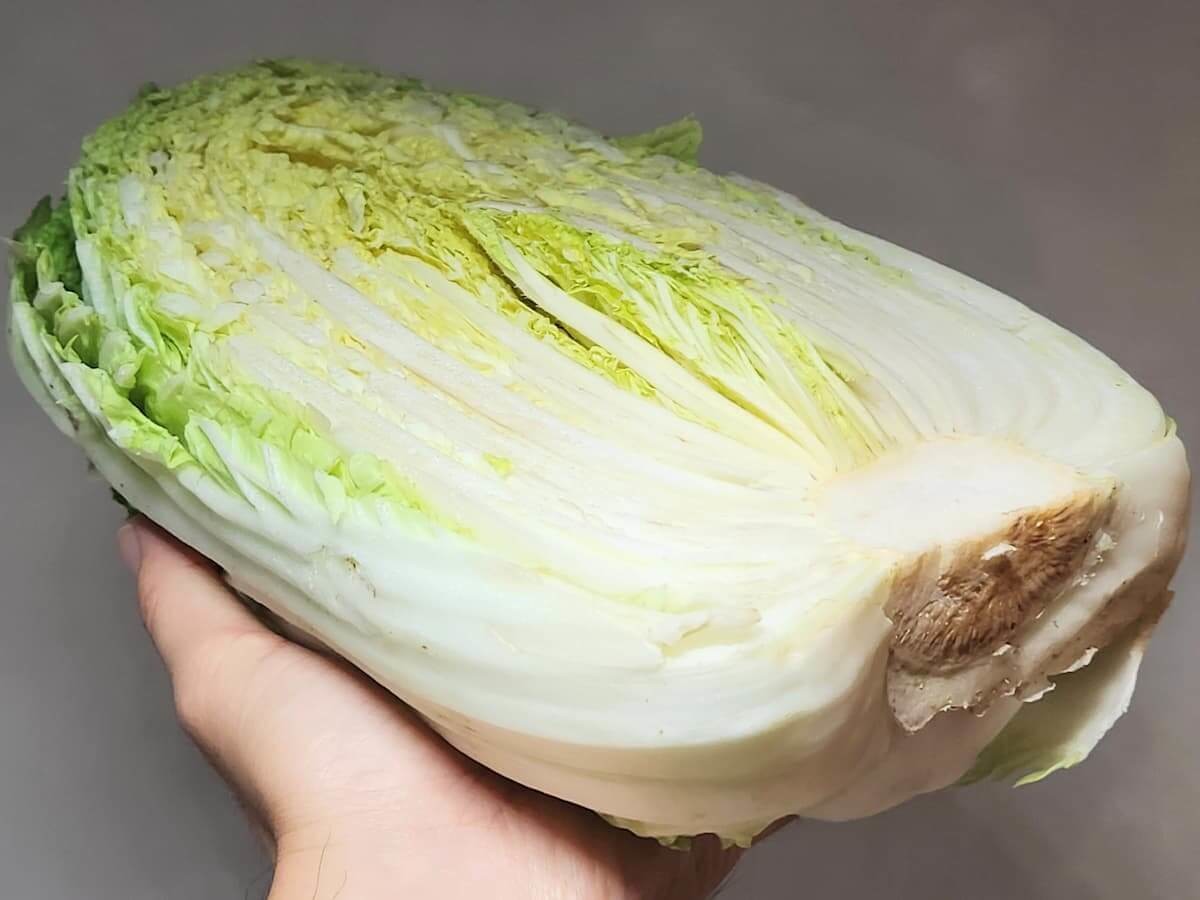 お願い！