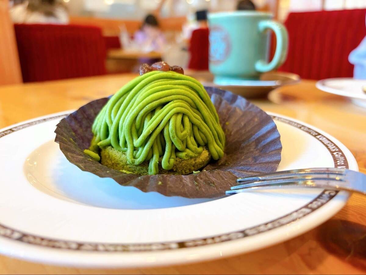 SNSで話題！全部食べたいコメダだけのスイーツ体験