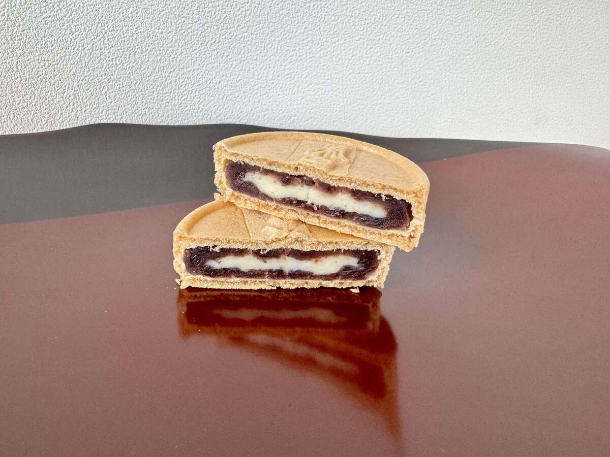進化系スイーツ「シーラカンスモナカ」