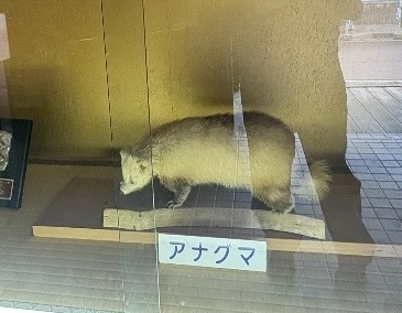 虹の湖公園