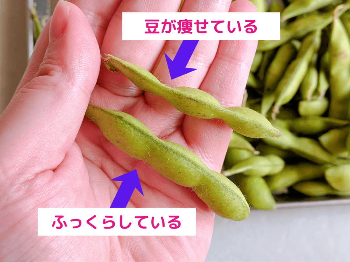 枝豆の茹で方】