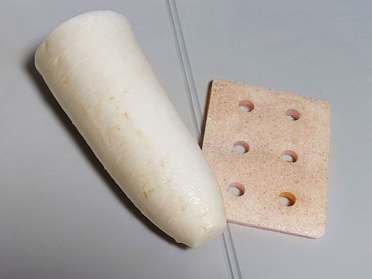 サタプラ紹介で話題！