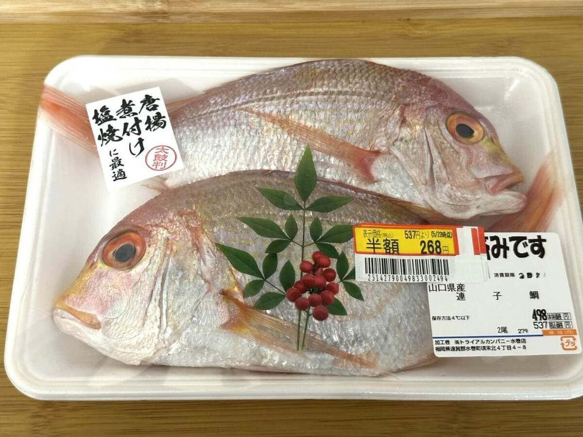 トライアル