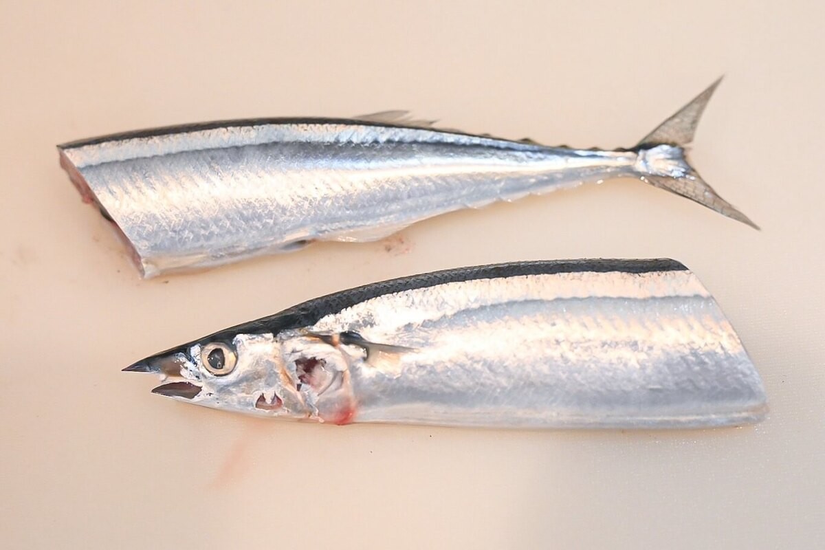 山内鮮魚店さんが教える「フライパンでサンマを美味しく焼く方法」