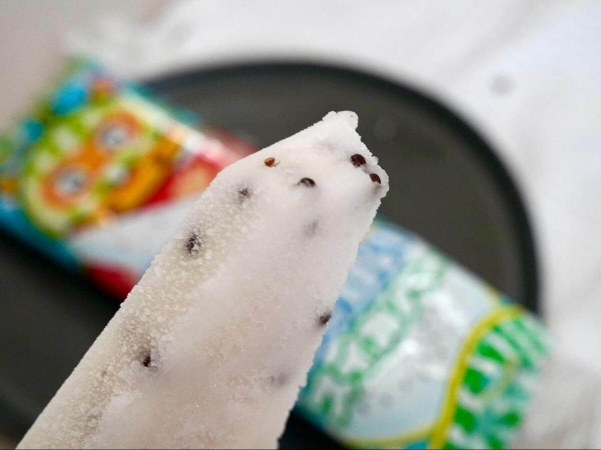 大大大注目【ヤバいアイス来たぞーー！！】見かけて「猛ダッシュで